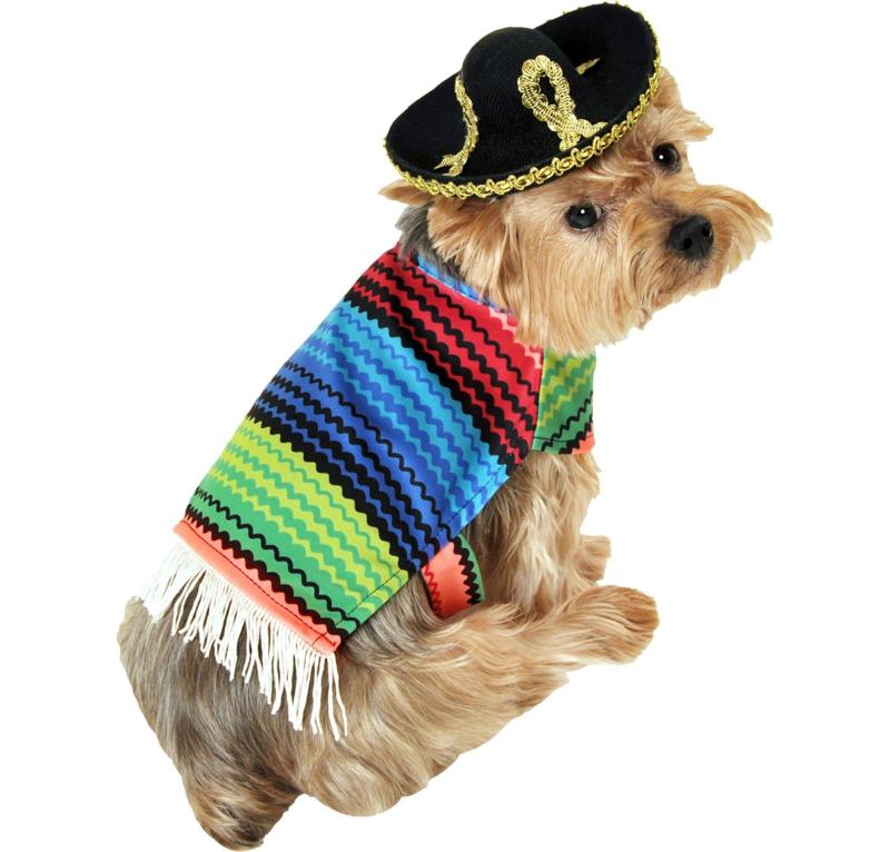 Cinco de Mayo | Amigo Dog Costume Cinco de Mayo Cinco de Mayo