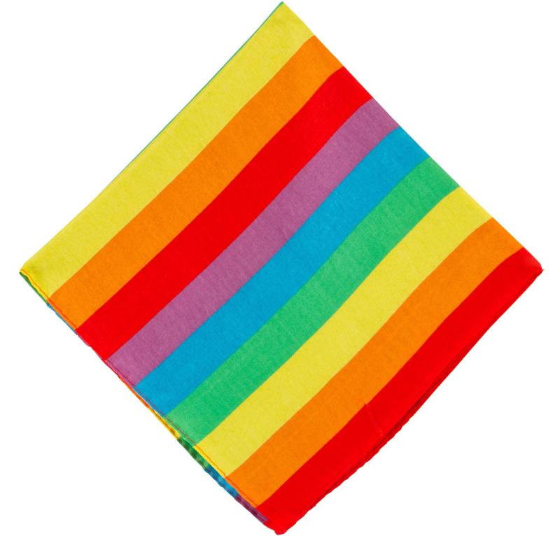 Pride | Rainbow Stripe Bandana, 20In X 20In Holidays & Occasions